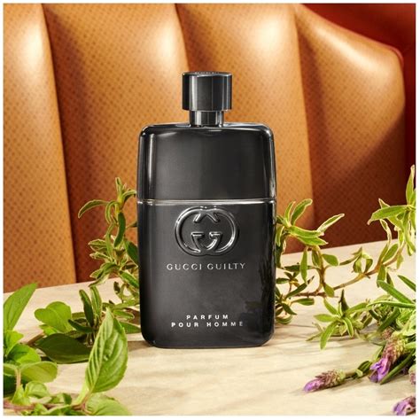 is gucci guilty good for winter|Guilty pour Homme perfume by Gucci .